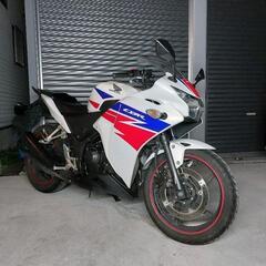 HONDA　CBR250R MC41　絶好調　兵庫県　加古川市