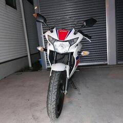HONDA　CBR250R MC41　絶好調　兵庫県　加古川市の画像