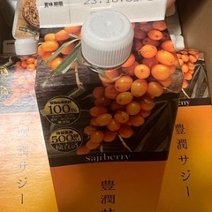 【情報追記】届きたて★豊潤サジーの画像