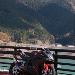 CBR250RR mc51