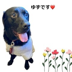犬飼いさん、お友だちになりませんか？