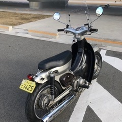 お話中　リトルカブ　カスタム