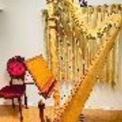 ハープ教室。松戸、柏、流山、三郷、我孫子。楽器なしでもOK！ハープ教室MUSE 練習用楽器レンタルもございます！の画像