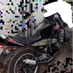 【実働】RZ250