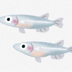 (動植物と資格勉強)一緒に勉強しませんか？