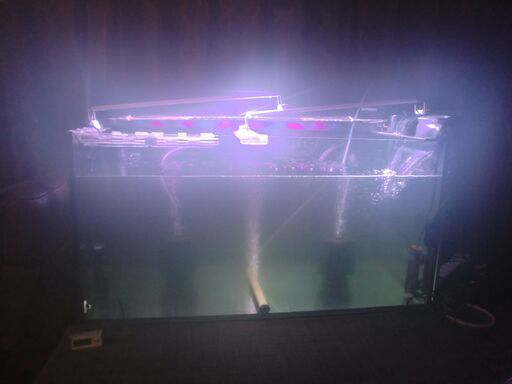 激安　水槽　各種セット　（全て揃ってますので、すぐ飼育はじめられます。）