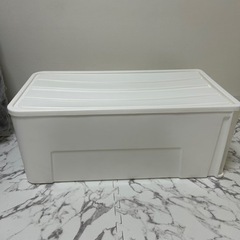 【引渡決定】ニトリ　押入れ収納ケースの画像