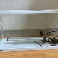 45センチ水槽、LEDライト、ヤマトヌマエビ、レイアウト石　セッ...