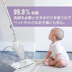 〈美品〉スチームモップの画像
