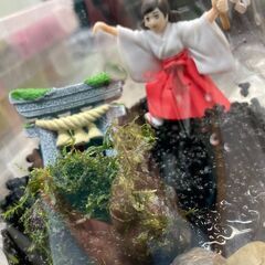 2月12日（日）　ボトルテラリウム教室　水草　植物　メダカ　めだか　アクアリウム の画像