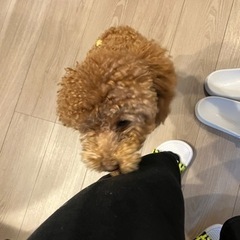 仲良く繋がろう！楽しくご縁がつながる、神戸のカフェ交流会✨ 