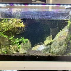 兵庫県尼崎市発送不可　プロテクティア　27インチ　オートライト　内装３段　中古 ダカラットココ 27インチ 外装6段 オートライト