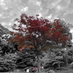 宣材写真撮影します