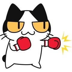 ボクシング初心者、体験募集！！！