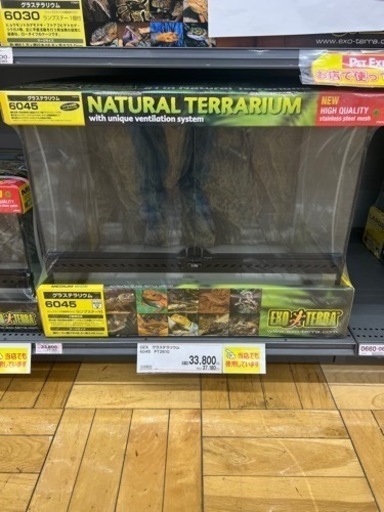 グラステラリウム　爬虫類　飼育ケース