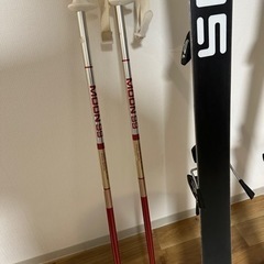 salomon サロモン　スキー板　レアの画像