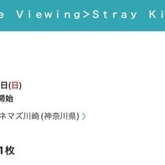 straykids スキズ　MANIAC アンコン　ライブビュー...