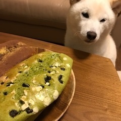 メンタル✨グルチャ✨