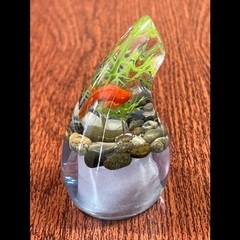 【新品】三線の爪(バチ)