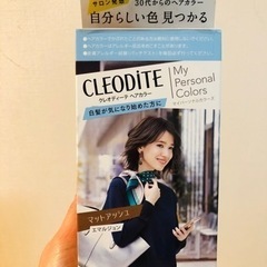 ヘアマニキュア(軽い白髪用)