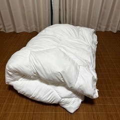 人口羽毛 掛ふとん シングルサイズ あげますの画像