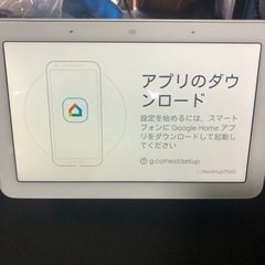 Google nest hub