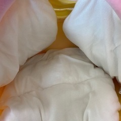 マイメロディー　かぶりものの画像