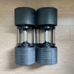 【2個セット】Bodytech×フレックスベル 正規品 32Kg...