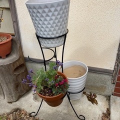 アイアンプランターの画像