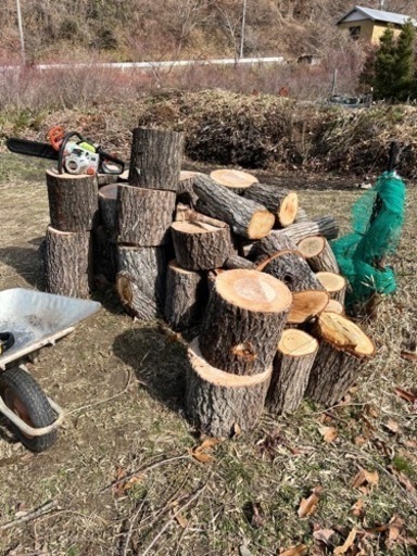 薪　キャンプや薪ストーブにどうですか？