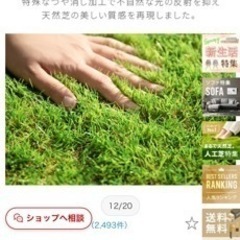 人工芝の画像