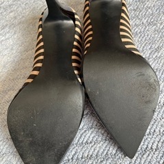 D.IANAの画像