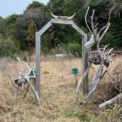 キャンプ場を一緒に作る人！