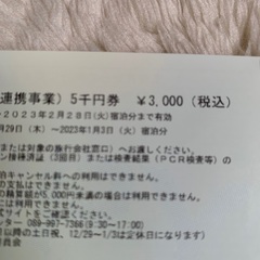 まつやま割引宿泊券2枚6000円