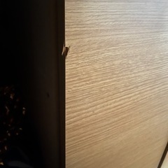 決まりました！の画像