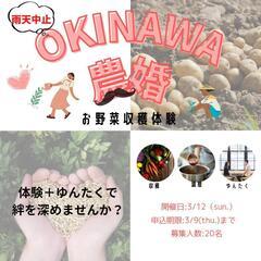 『お野菜収穫祭』再開と新たな出会い！