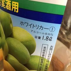 果実酒瓶の画像