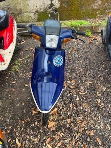 決まりました👍ペリカンジョグ