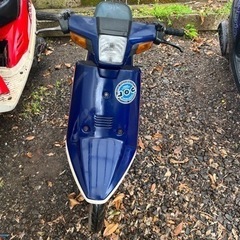 決まりました👍ペリカンジョグ