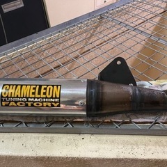 V100ボンネビルの画像