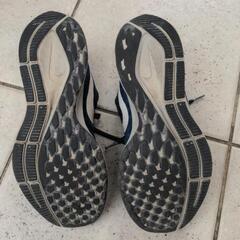 NIKEエアズームペガサス35　25センチの画像