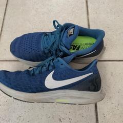 NIKEエアズームペガサス35　25センチの画像