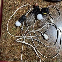 裸電球