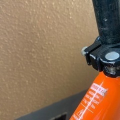 ストライダースポーツ　オレンジの画像