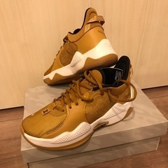 NIKE PG5 EP ポールジョージ バッシュ 25.5cm