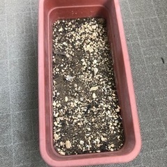 植木鉢と土の画像