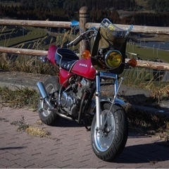エイプ50(ボアップ80)の画像