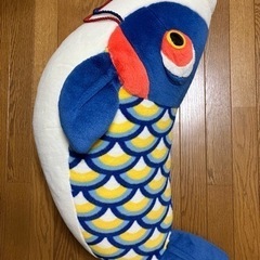 鯉太郎