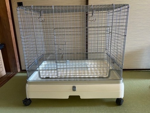 うさぎ　ゲージ　ペットショップ正規品