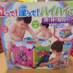 立って！座って！ハイハイで！頭と体の知育ボックス